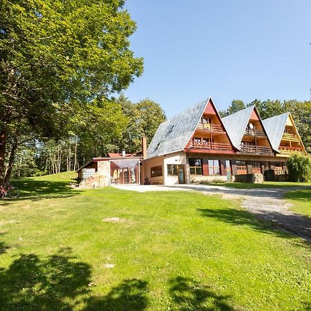 Horsky Dom Apartmany B 勒沃卡 外观 照片